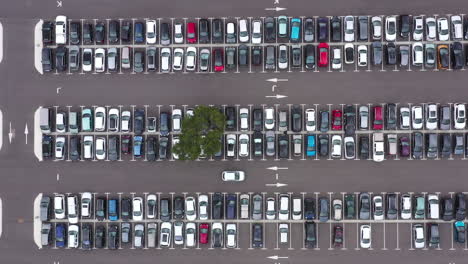 über-Ein-Weißes-Auto-Auf-Einem-Parkplatz-Voller-Autos-Fliegen.-Ein-Grüner-Baum-Frankreich